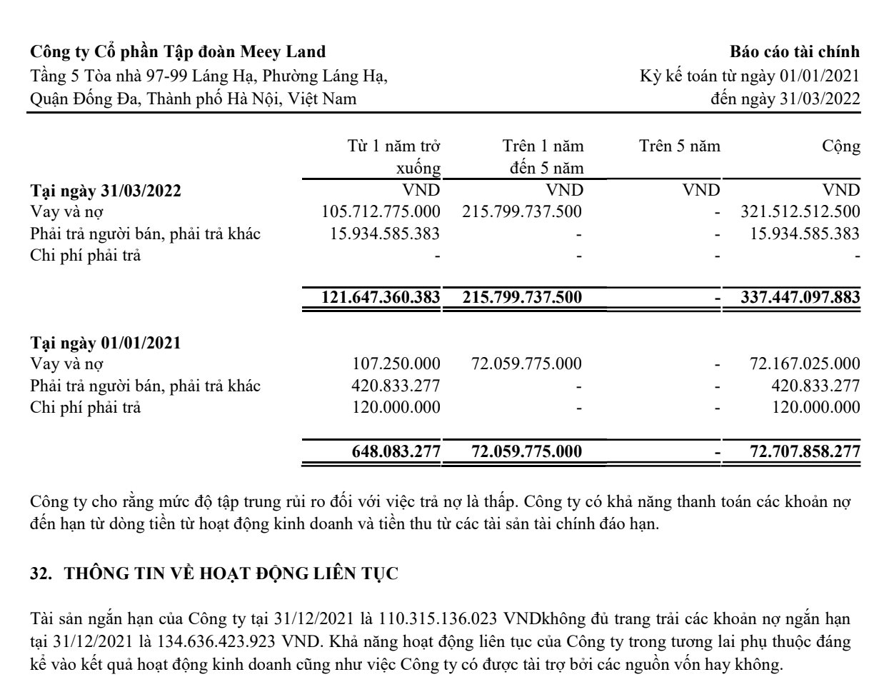 bao-cao-tai-chinh-tap-doan-meey-land-1659004692.png
