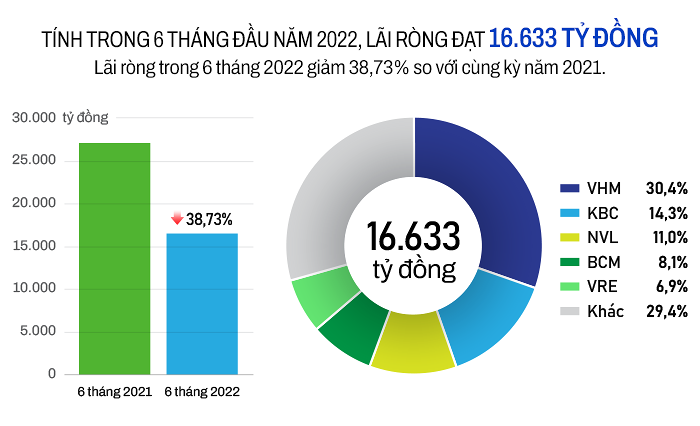 lai-rong-doanh-nghiep-bat-dong-san-trong-6-thang-dau-nam-2022-1659599552.png