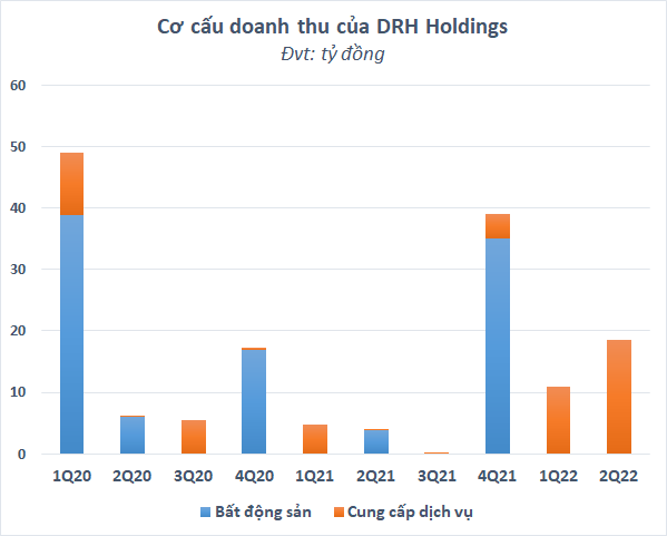 co-cau-doanh-thu-cua-drh-holding-1660640664.png