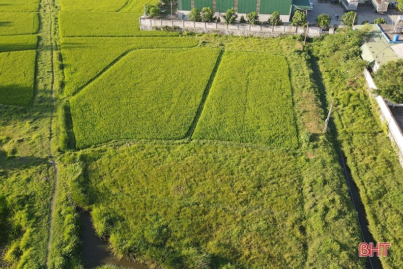 khu-dat-ma-cong-ty-cp-stevia-ventures-tung-khao-sat-thuc-hien-du-an-co-dien-tich-gan-4900-m2-tai-xa-thach-thanh-nay-la-thi-tran-thach-ha-huyen-thach-ha-1661939760.jpg