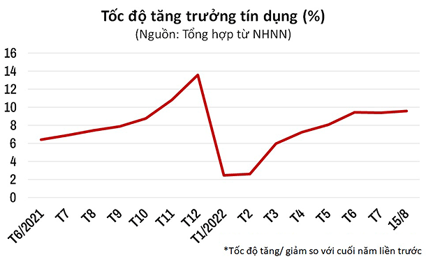 toc-do-tang-truong-1661937007.png