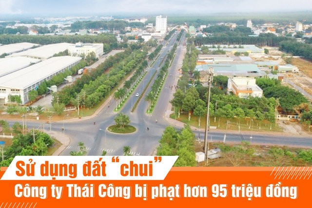 su-dung-dat-chui-cong-ty-thai-cong-bi-phat-hon-95-trieu-dong-1662505445.jpg
