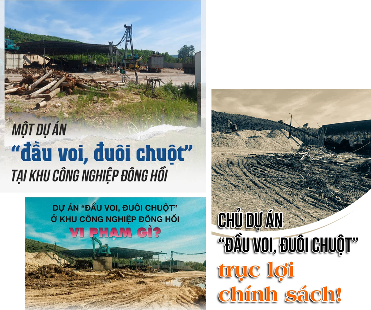 du-an-dau-voi-duoi-chuot-1662605154.png