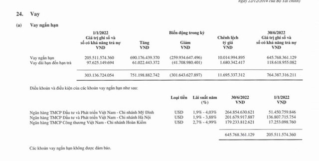 ket-thuc-ngay-30-thang-6-nam-2022-vinatex-dang-vay-ngan-han-hon-645-ty-dong-tai-2-chi-nhanh-ngan-hang-agribank-va-vietinbank-1662917766.jpg