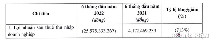 loi-nhuan-sau-thue-ban-nien-2022-cua-danameco-1663151419.jpg