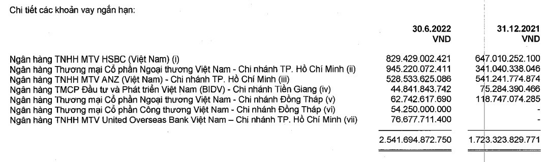 chi-tiet-cac-khoan-vay-cua-ngan-han-trong-nua-dau-nam-2022-cua-vinh-hoan-vhc-1664935400.jpg