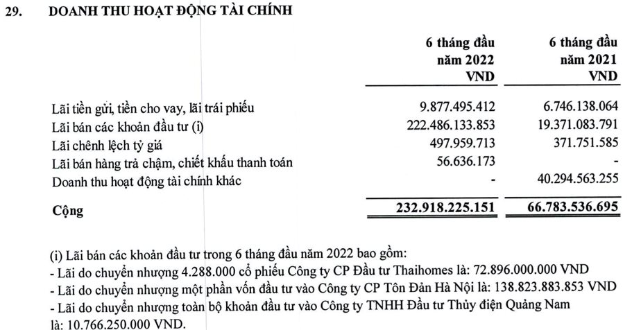 trich-bao-cao-tai-chinh-cua-thaiholdings-nam-2022-1665369776.png
