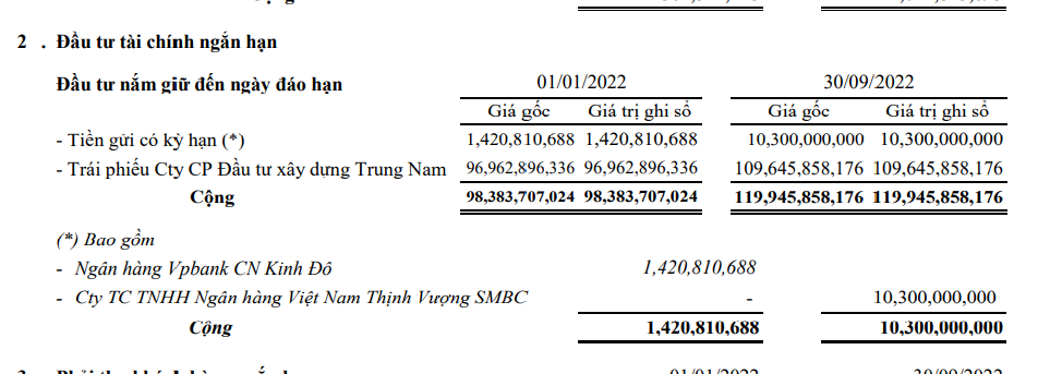 dau-tu-tai-chinh-ngan-han-cua-bth-1665969846.png