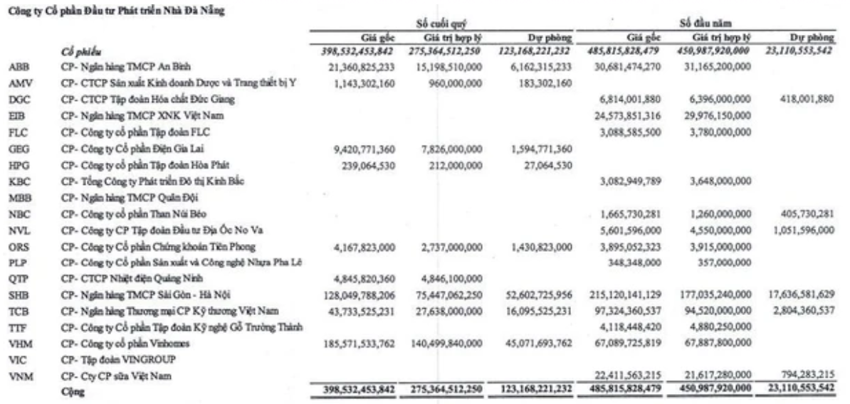 danh-muc-dau-tu-chung-khoan-cua-ctcp-nha-da-nang-1666759239.png