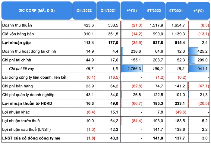 ket-qua-kinh-doanh-dic-corp-1667191777.png