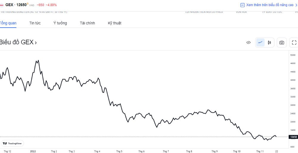 co-phieu-gelex-giam-manh-trong-nam-qua-1669339695.jpg