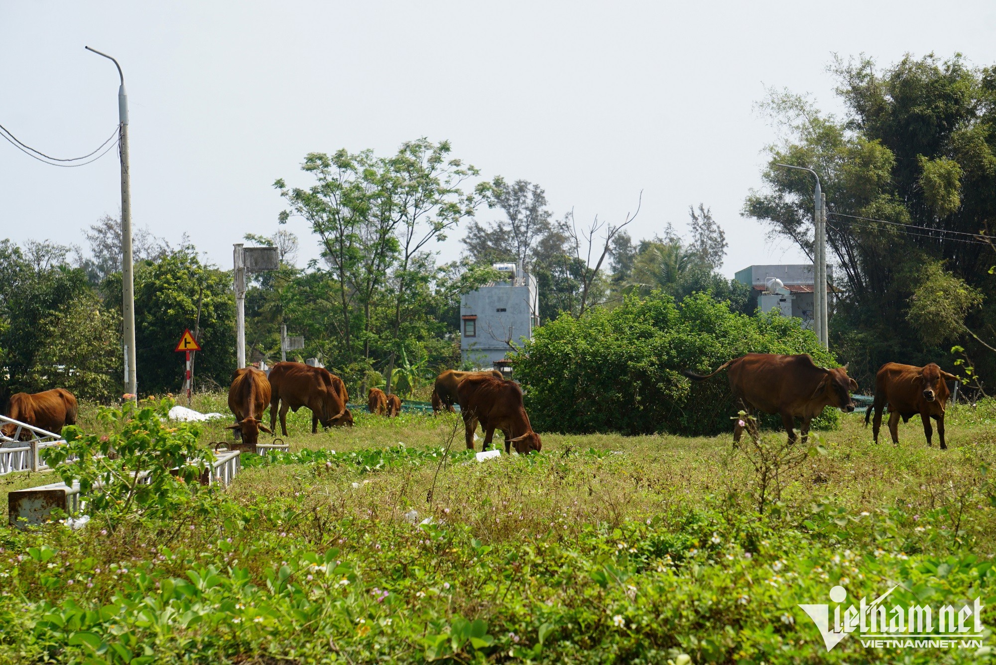 khu-do-thi-ngoc-duong-river-5-1678932815.jpg