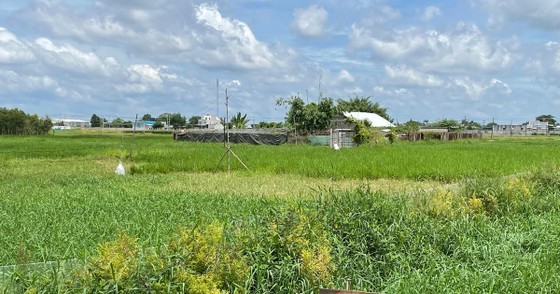 kcn-xuan-thoi-thuong-1683255712.jpg