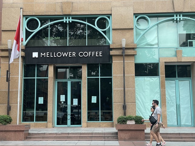 mellower-coffe-1683346226.jpg