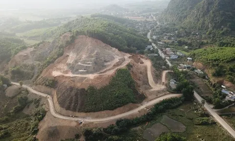 Tỉnh Hòa Bình: Nhiều dự án vi phạm đất rừng trồng