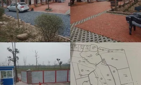 Xã Thạch Đà (huyện Mê Linh, TP Hà Nội): Nhiều ô đất trống không đánh dấu thứ tự để đấu giá