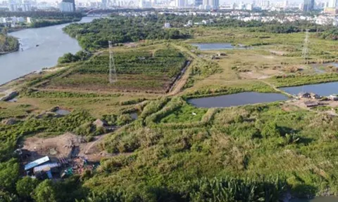 Dấu hiệu hình sự của Quốc Cường Gia Lai trong vụ Tân Thuận