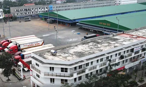 Sai phạm tại Dự án Chợ đầu mối rau, quả Sở Dầu (Hải Phòng): Bao giờ mới xử lý dứt điểm?