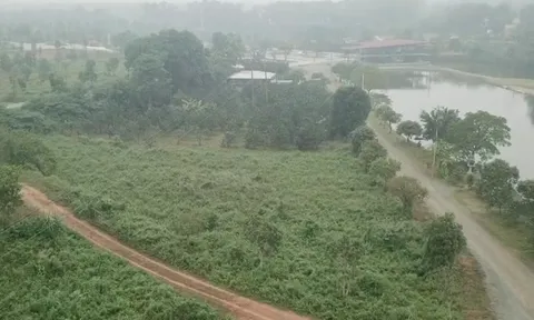 Nữ Tổng Giám đốc vẽ "dự án ma" với tên gọi khu dân cư Golden Lake ở Sơn Tây để lừa đảo