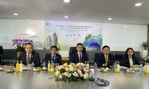 [Phác hoạ hệ sinh thái Bamboo Capital] Bài 2 - Băn khoăn chất lượng tài sản BCG