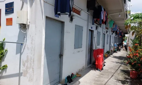 TP.HCM xây dựng quy định diện tích bình quân để đăng ký thường trú