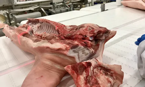 Giá heo hơi hôm nay 28.6.2022: Tăng nhẹ, xuất hiện giá 61.000 đồng/kg