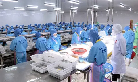 Xuất khẩu nông lâm thủy sản lo không về đích nếu thiếu nguyên liệu