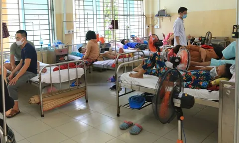 TP.HCM vượt 20.000 ca sốt xuất huyết