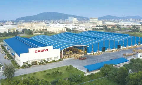 Doanh nghiệp mua lại trái phiếu trước hạn nhằm mục đích gì?