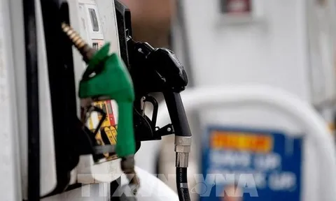 OPEC+ tăng sản lượng để hạ nhiệt giá dầu: Quyết định có khả thi?