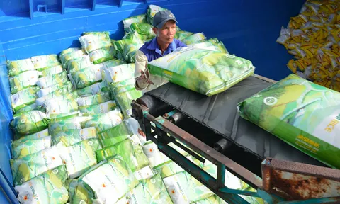 Nông sản Việt có tận dụng được 'cơn sốt' lương thực, thực phẩm toàn cầu?