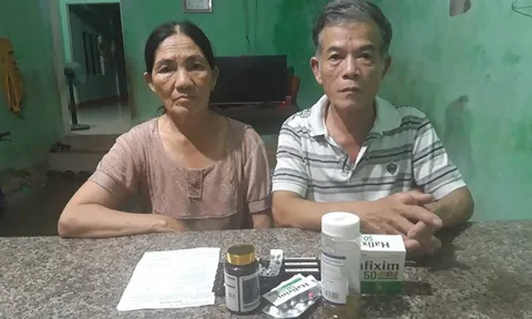 Vụ tranh chấp đất tại Phù Mỹ (Bình Định): Vì sao tòa án chậm giải quyết?