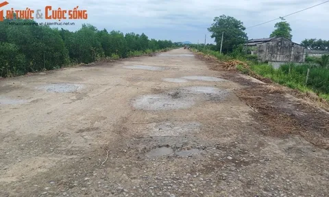 Thanh Hóa: Cận cảnh tuyến đê sông Cầu Chày bị nứt vỡ, xuống cấp