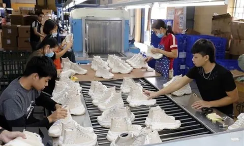 Tác động của đồng euro mất giá với các ngành hàng xuất khẩu như thế nào?