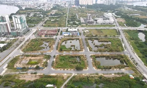 Sau vụ bỏ cọc "đất vàng", TP.HCM rà soát lại quỹ nhà, đất sẽ đấu giá