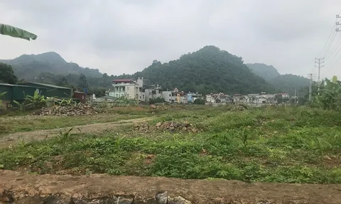 Địa phương có trái chỉ đạo của Thủ tướng?