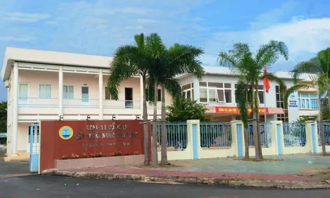 CTCP Cấp thoát nước Trà Vinh bị xử phạt 350 triệu đồng do vi phạm BVMT