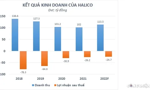 Chủ thương hiệu Vodka Hà Nội (Halico) lỗ 21 quý liên tiếp