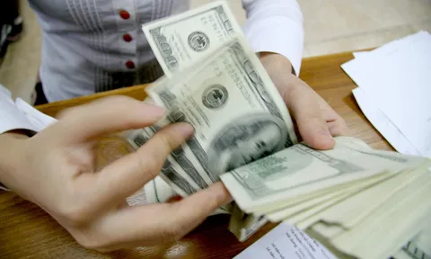 Giá USD hôm nay 19.7.2022: Tự do quay đầu lao dốc