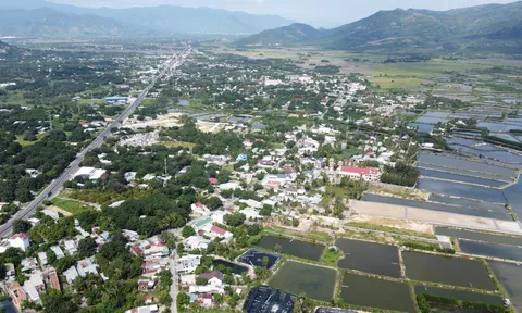 Khánh Hòa: Xác minh cán bộ sai phạm trong việc phân lô, bán nền trái phép ở 'điểm nóng' Cam Lâm