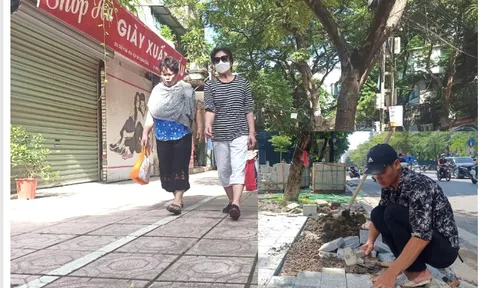 Gian lận doanh thu để trúng thầu, Công ty xây dựng Single liệu có bị cấm thầu?