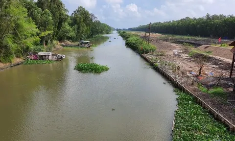 Cty Du lịch An Giang xây sân đua bò 20.000m2 không phép ở An Giang