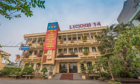Licogi 14 đang lỗ gần 380 tỷ khi tất tay DIG và CEO, tiền mặt giảm trăm tỷ đồng trong quý II