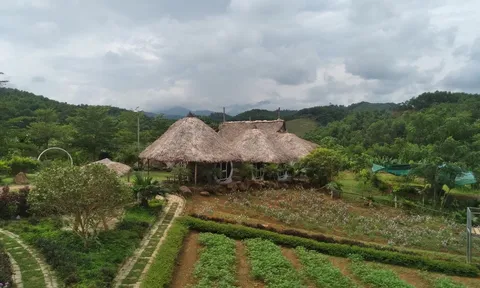 Thanh Hóa: Nông trại Golden Cow hoạt động không phép trong thời gian dài