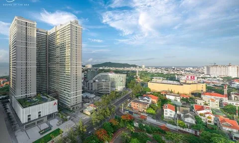 Lợi nhuận An Gia sụt giảm trong kỳ bàn giao dự án The Sóng, còn giữ hơn 3.700 tỷ đồng của khách hàng