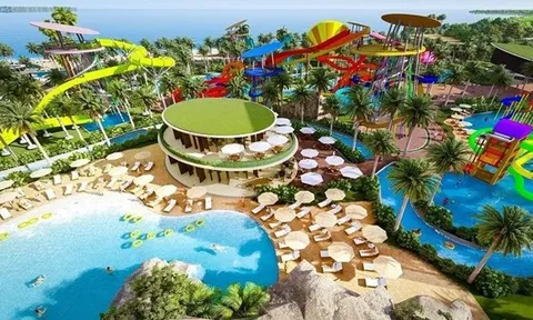 Crystal Bay liên tục được giao nghiên cứu các dự án mới