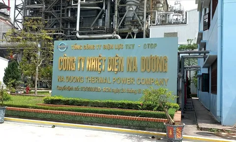 Nhiệt điện Na Dương: Dân khổ vì ô nhiễm môi trường