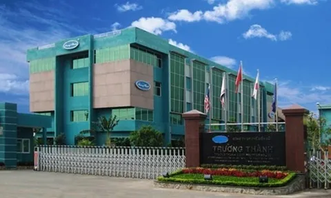 Gỗ Trường Thành (TTF) quay lại "vòng xoáy" thua lỗ, nâng lỗ lũy kế lên tới 3.044 tỷ đồng