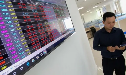 Nhịp đập Thị trường 11/08: Bị đạp rồi gom trong phiên chiều, VN-Index đóng cửa trong sắc đỏ