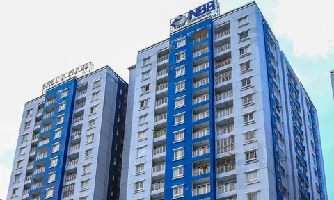 Lợi nhuận Năm Bảy Bảy (NBB) tiếp tục “lao dốc”, dòng tiền âm kỷ lục trong 6 tháng đầu năm 2022